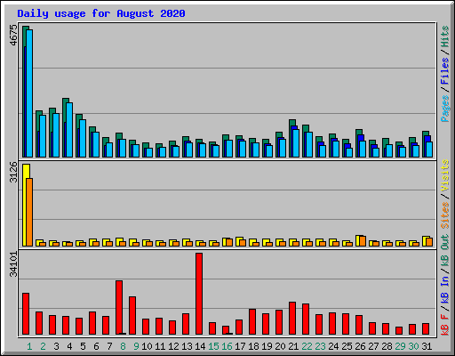 Daily usage for August 2020