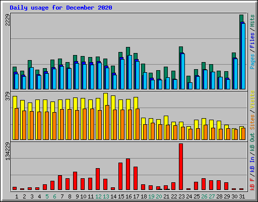 Daily usage for December 2020