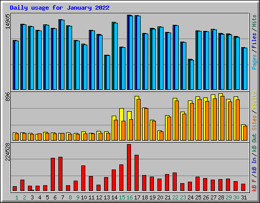 Daily usage for January 2022