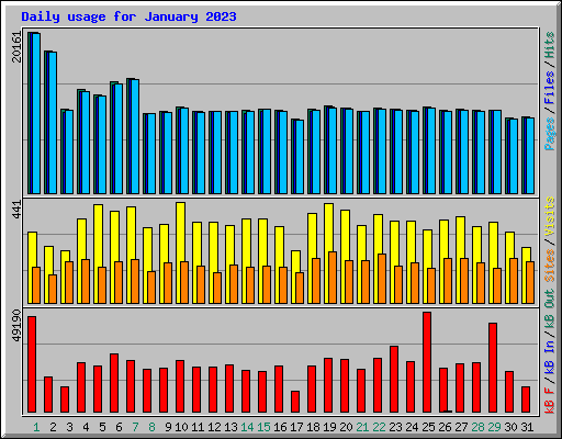 Daily usage for January 2023