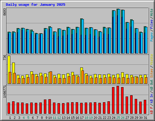 Daily usage for January 2025