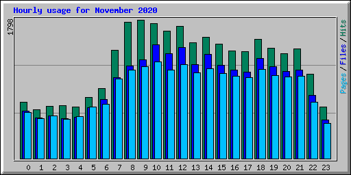 Hourly usage for November 2020