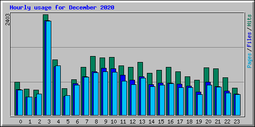 Hourly usage for December 2020