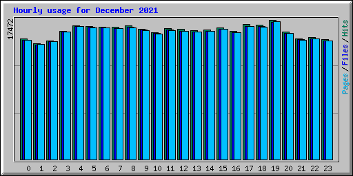 Hourly usage for December 2021