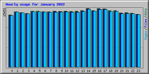 Hourly usage for January 2022