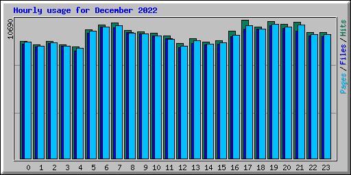 Hourly usage for December 2022