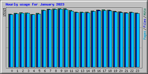 Hourly usage for January 2023