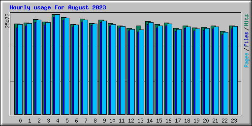 Hourly usage for August 2023