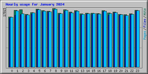 Hourly usage for January 2024