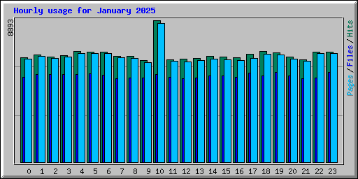 Hourly usage for January 2025
