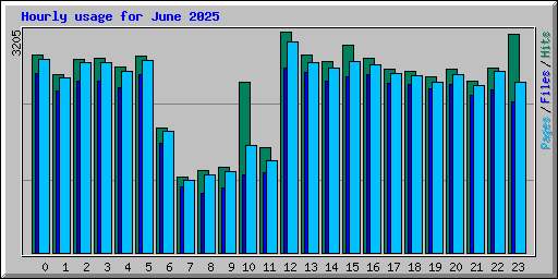 Hourly usage for June 2025