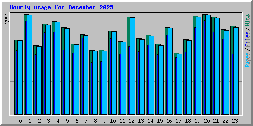 Hourly usage for December 2025