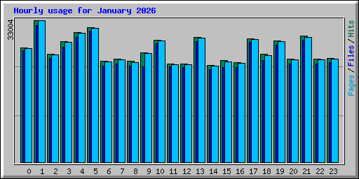 Hourly usage for January 2026