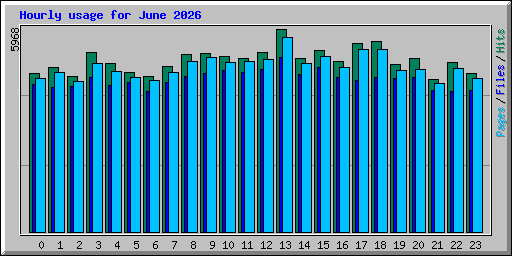 Hourly usage for June 2026