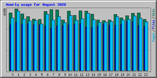 Hourly usage for August 2026